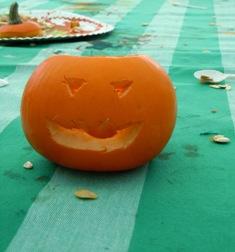 Festa di Halloween in campagna!