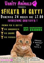 SFILATA DI GATTI