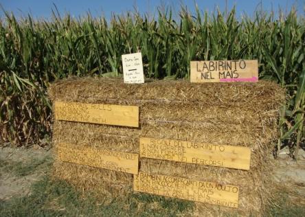 LA CACCIA AL TESORO NEL LABIRINTO