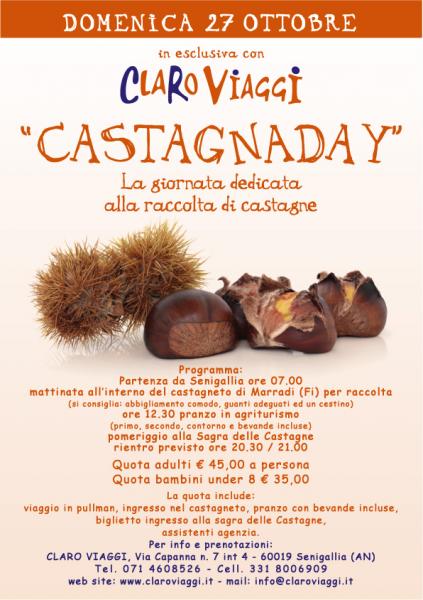 RACCOLTA CASTAGNE A MARRADI