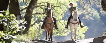 PASSEGGIATA A CAVALLO per le colline Treiesi