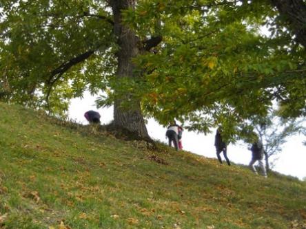 Il Ponticello - Tempo di castagne e fiere d'autunno: Montemonaco!