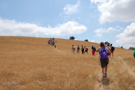 Il Ponticello - Gola del Furlo, la patria del Tartufo!