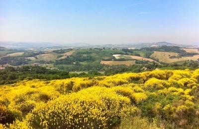 Il Ponticello - Borghi al tramonto, dog walking e festa dei Cacianes!