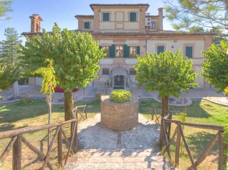 Il Verdicchio nella zona di Serra De' Conti