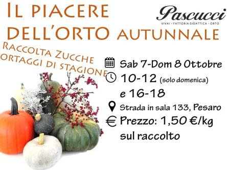 il piacere dell'orto autunnale