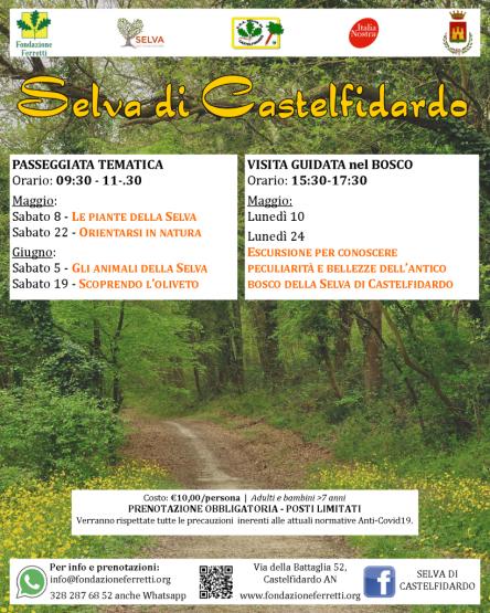 SELVA DI CASTELFIDARDO