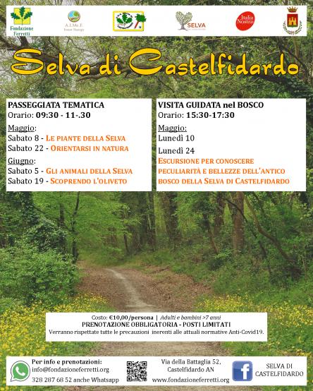 PASSEGGIATA ALLA SELVA DI CASTEFIDARDO