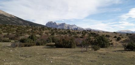 Da Macereto a Cupi e apertivio rustico