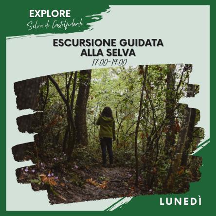 ESCURSIONE GUIDATA ALLA SELVA