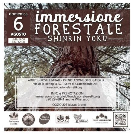 IMMERSIONE FORESTALE