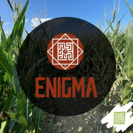 Enigma