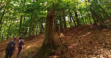 Escursione al Bosco di Tecchie