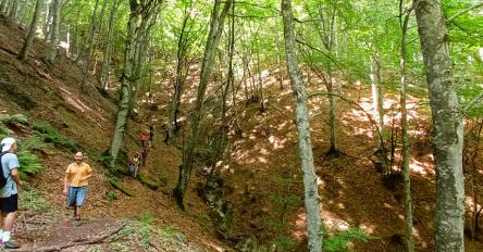 Escursione al Bosco di Tecchie