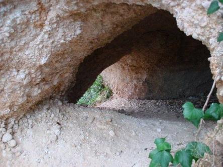 Escursione Bosco di Cugnolo e Grotta degli Amanti