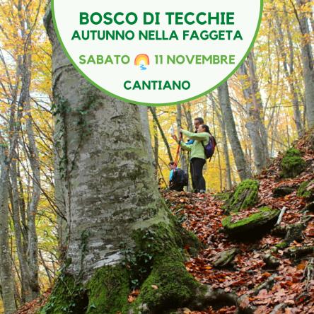 Escursione al Bosco di Tecchie