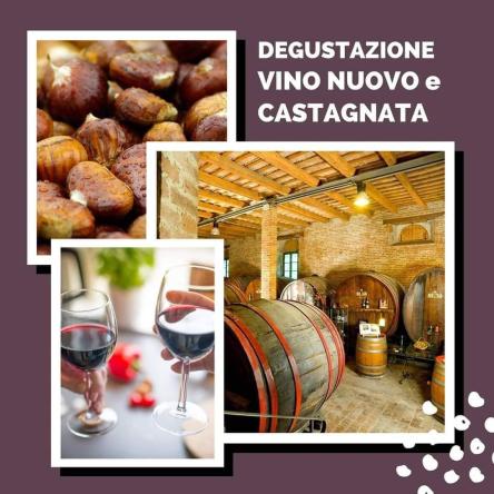 Vino rosso Nuovo e castagne sul camino