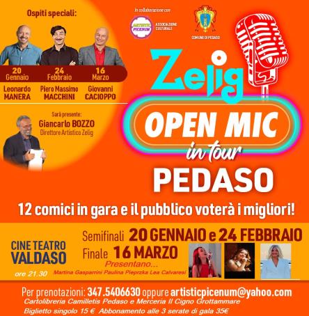 Zelig Open Mic