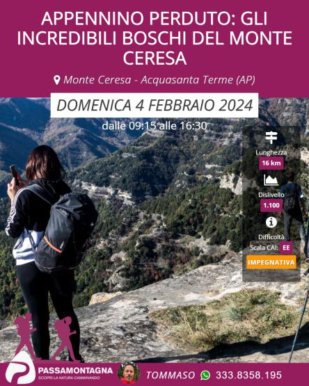 Appennino perduto: gli incredibili boschi del monte Ceresa