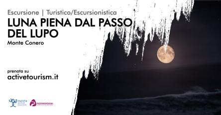 Luna piena dal Passo del Lupo