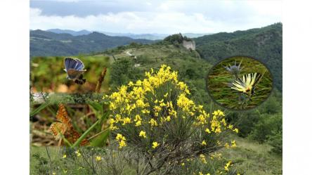 Col di Pietra e il Giardino delle Farfalle