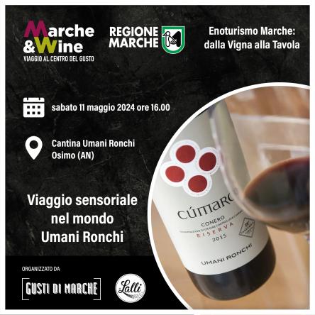 Degustazione alla cantina Umani Ronchi