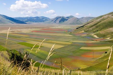 Fioritura di Castelluccio, l’altopiano colorato