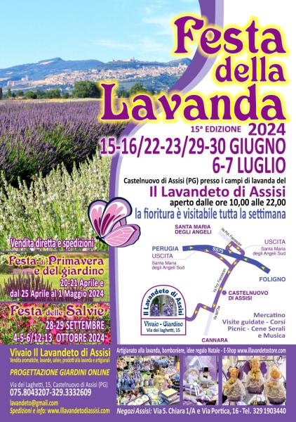 Festa della lavanda