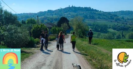 Escursione collinare e degustazione formaggi affinati in grotta