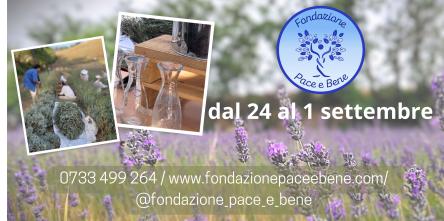 Laboratorio Natura  olio essenziale di lavanda