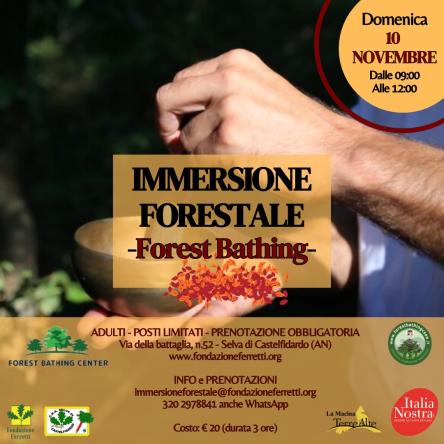 Immersione forestale del 10 novembre 2024