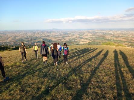 Dal bosco delle Tassinete fino al Cristo delle Marche