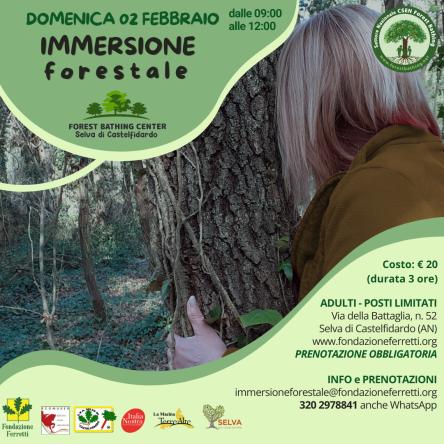 IMMERSIONE FORESTALE