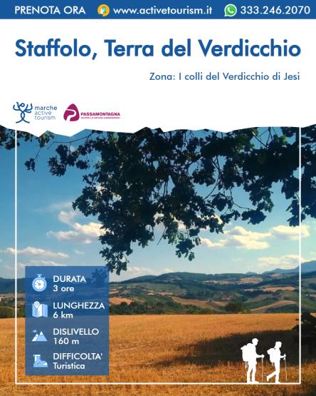 Staffolo, terra del Verdicchio