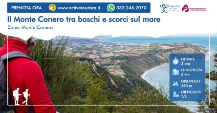 Il Monte Conero tra boschi e scorci sul mare