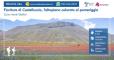 Fioritura di Castelluccio - L'altopiano colorato al pomeriggio